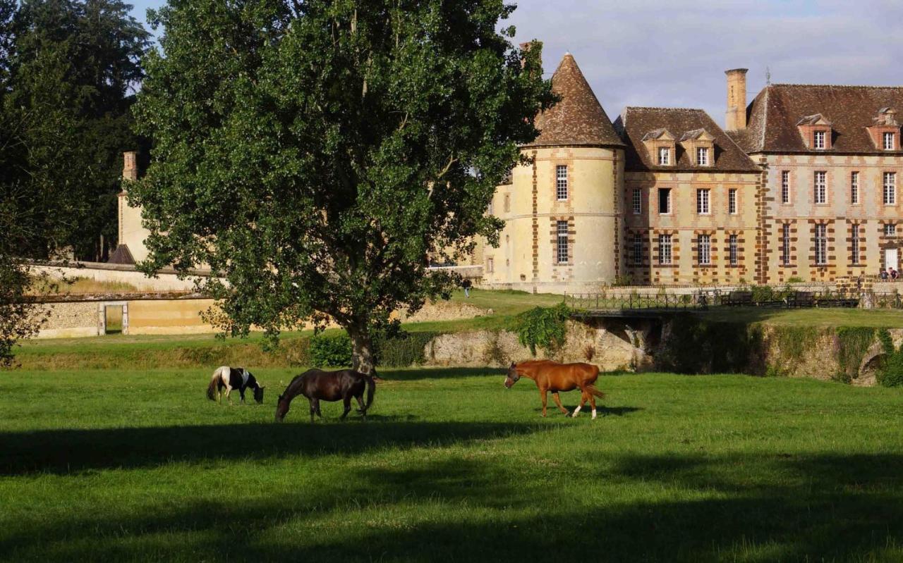 Chateau De La Riviere Pontgouin 外观 照片